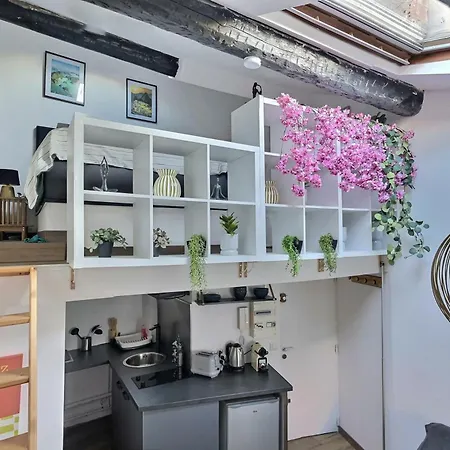 Duplex Centre Apartment Beziers